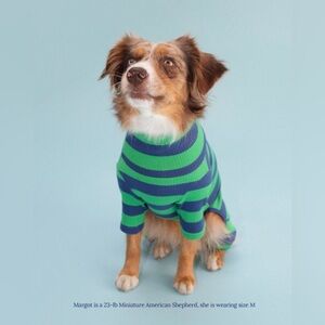 Little Beast Green and Navy Striped Dog Onesie